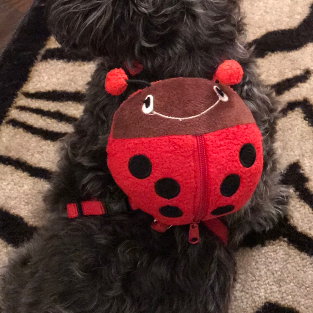 NEW Doggy ladybug harness backpack  - Picture 3 of 8